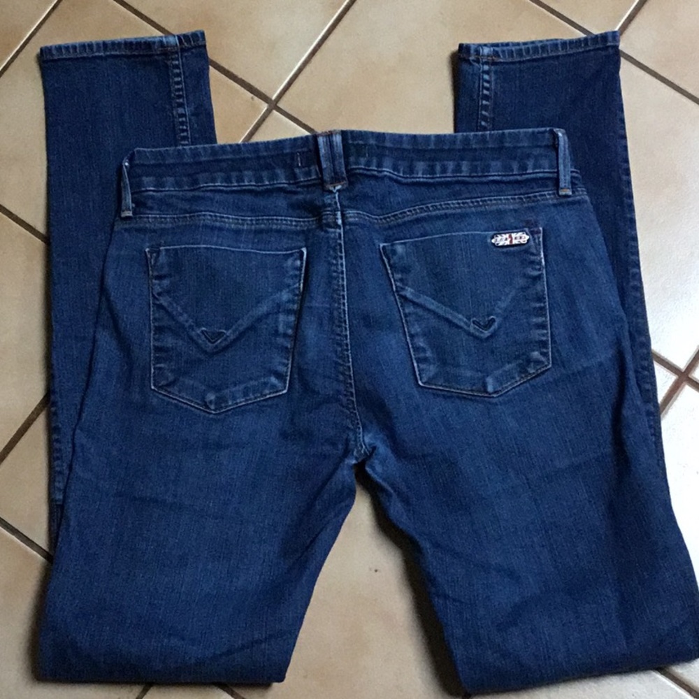 Hudson Skinny